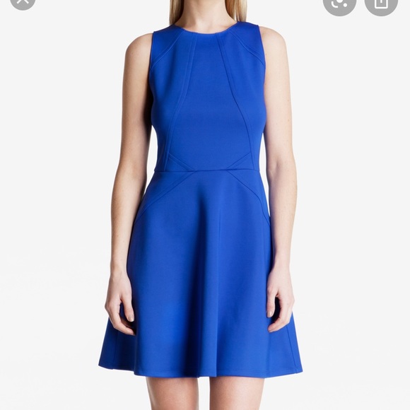 Ted Baker London Dresses & Skirts - Ted Baker Mitton Fit & Flare Skater Dress